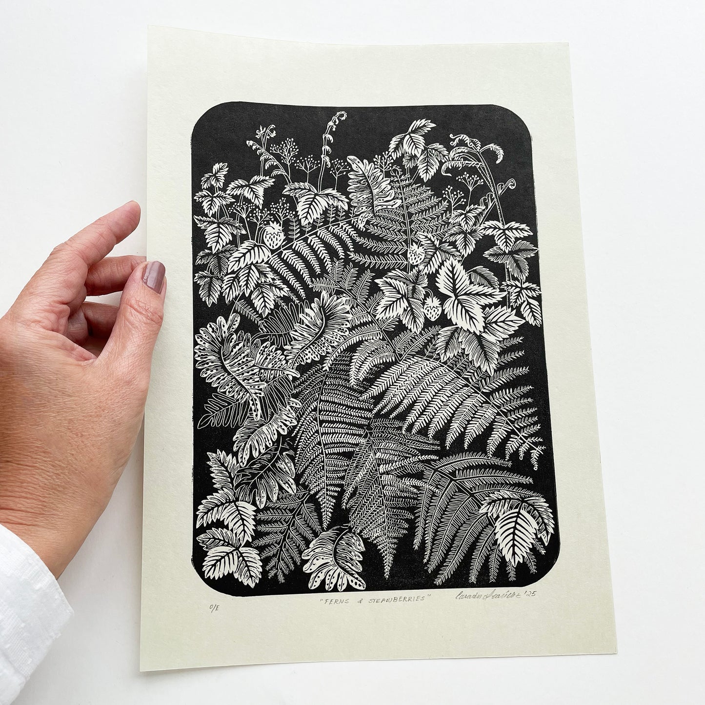 Ferns and strawberries botanical print