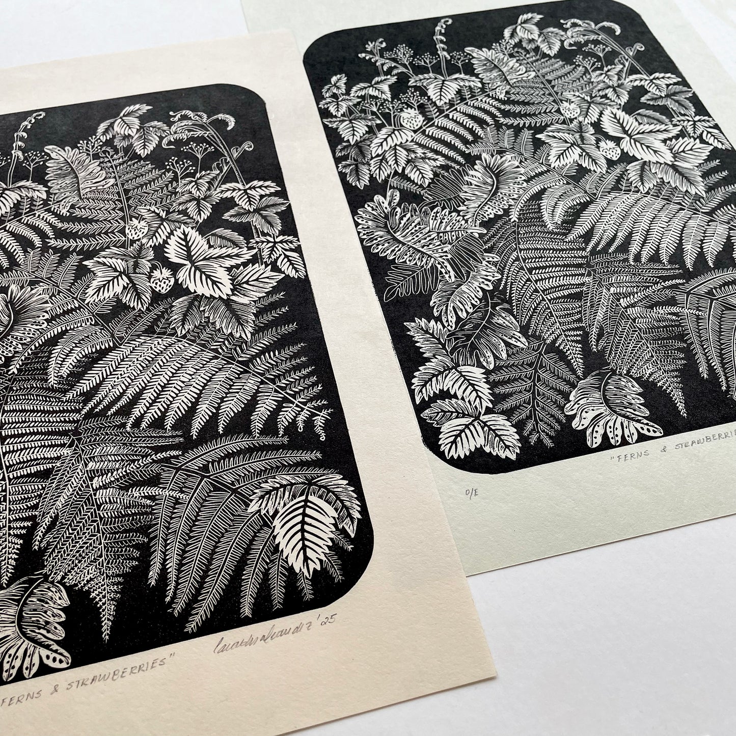 Ferns and strawberries botanical print