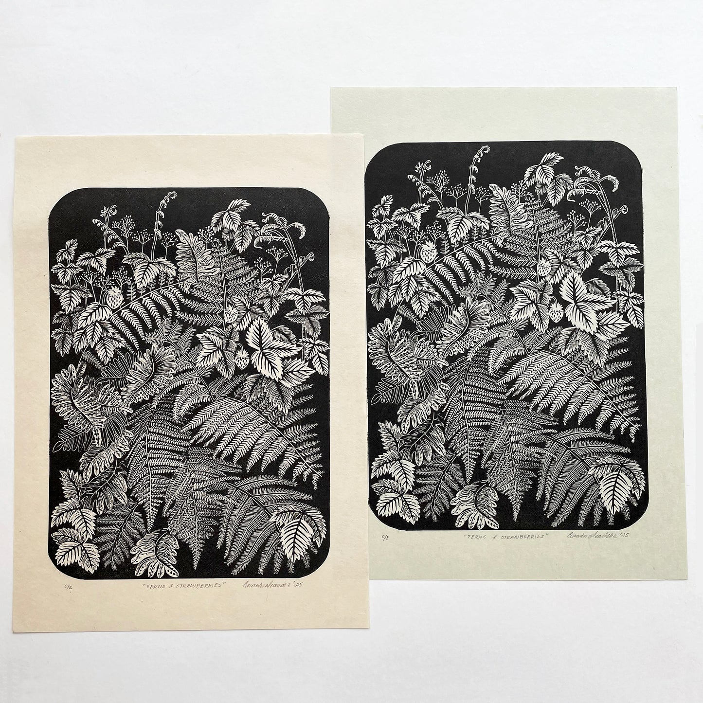 Ferns and strawberries botanical print