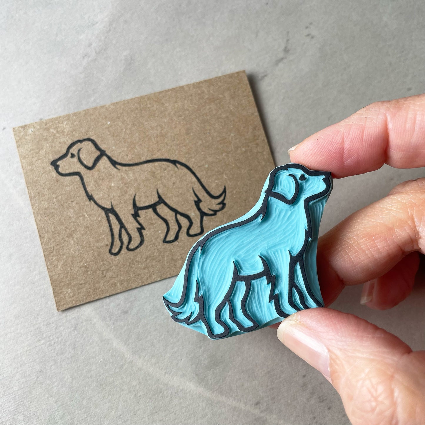hand holding the rubber with a image of a labrador dog