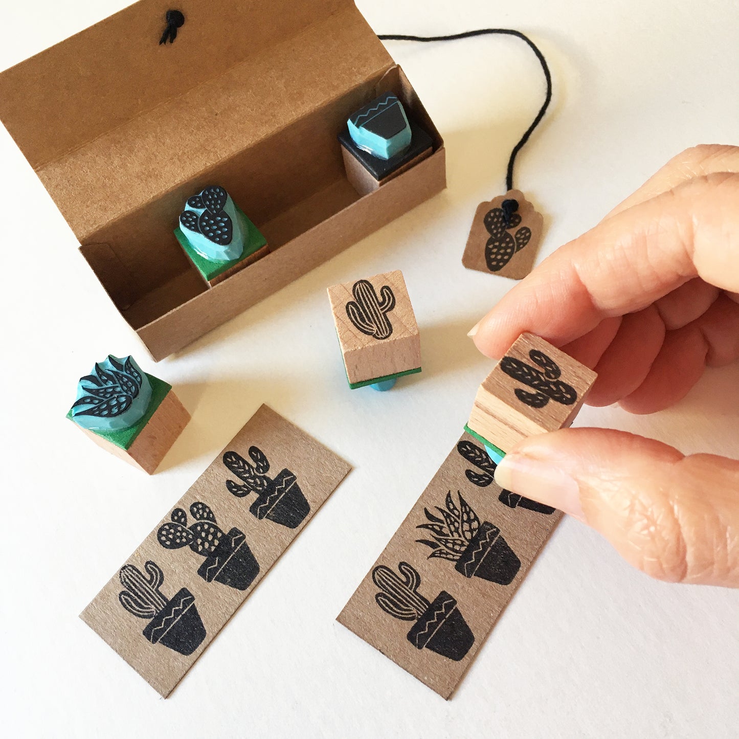Mini sellos de goma de cactus, juego de 5 sellos