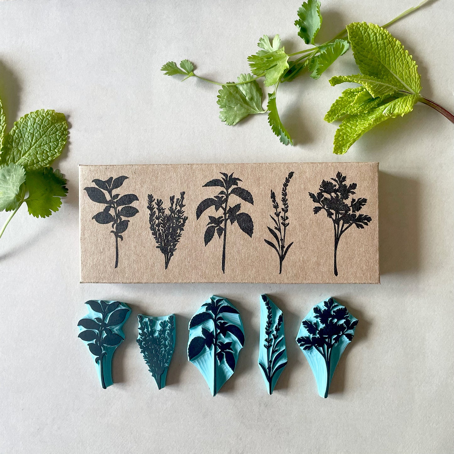 Aromatic Herb Rubber Stamp Set — Hand Carved Silhouette Stamps of Basil, Thyme, Mint, Lavender and Parsley