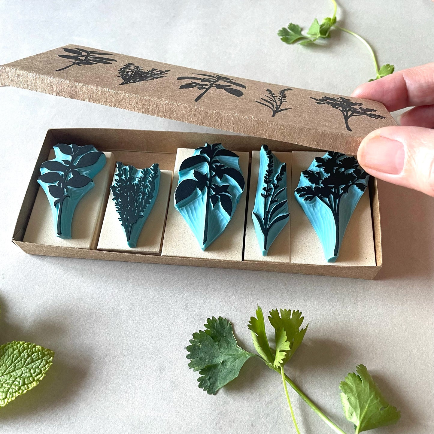 Aromatic Herb Rubber Stamp Set — Hand Carved Silhouette Stamps of Basil, Thyme, Mint, Lavender and Parsley