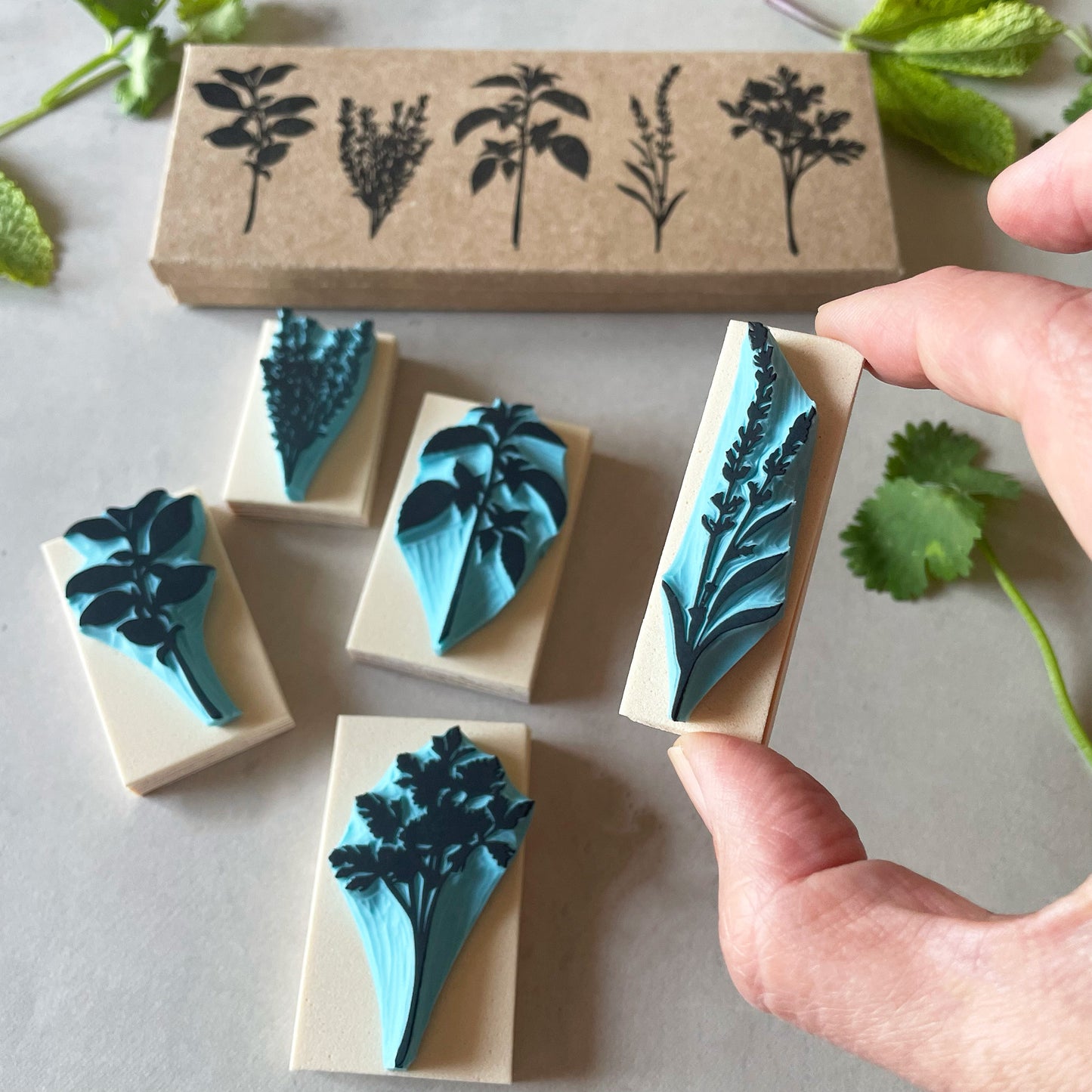 Aromatic Herb Rubber Stamp Set — Hand Carved Silhouette Stamps of Basil, Thyme, Mint, Lavender and Parsley