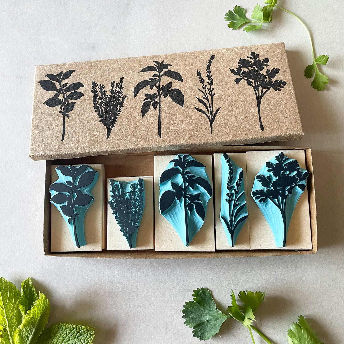 Aromatic Herb Rubber Stamp Set — Hand Carved Silhouette Stamps of Basil, Thyme, Mint, Lavender and Parsley