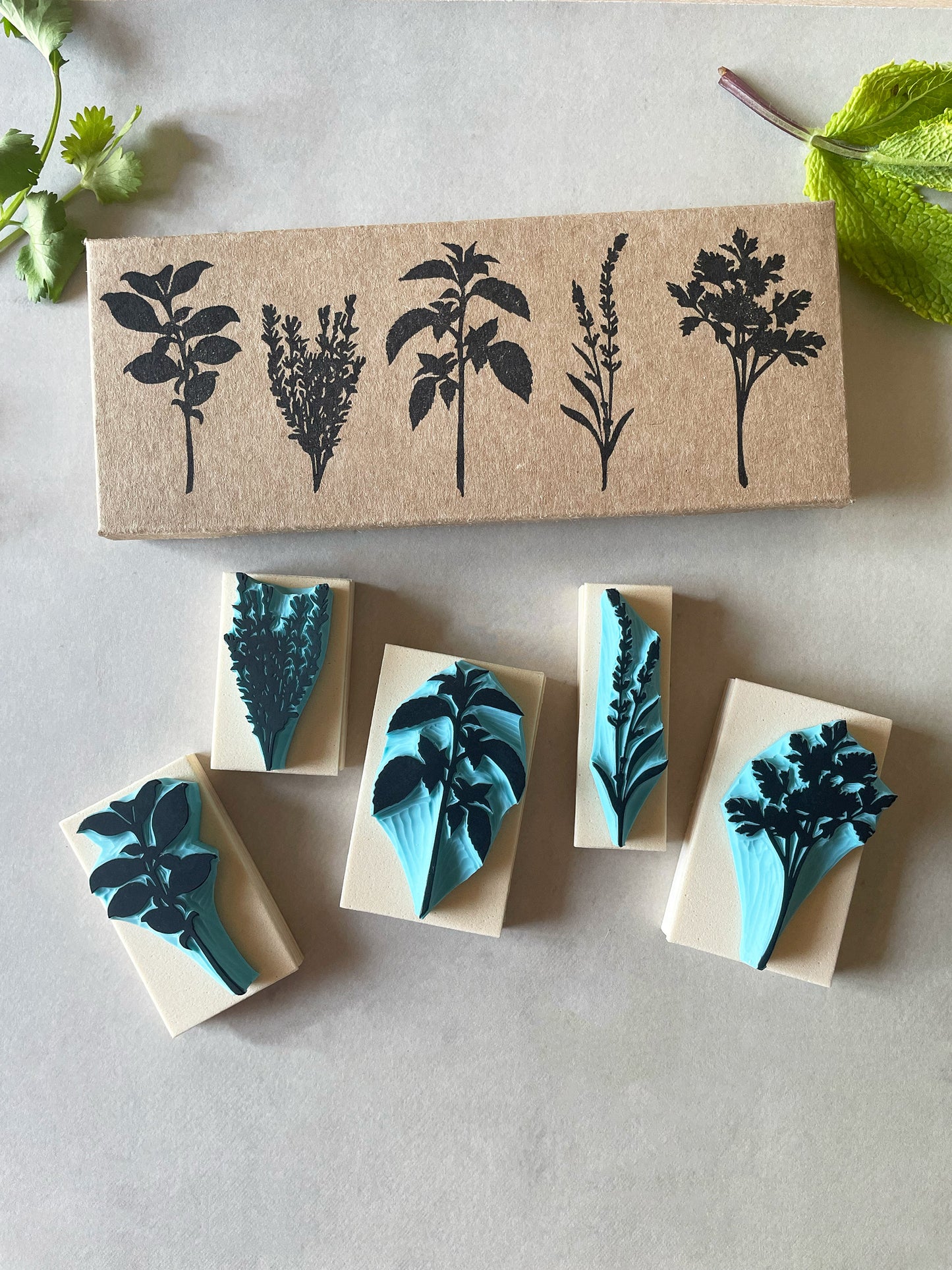 Aromatic Herb Rubber Stamp Set — Hand Carved Silhouette Stamps of Basil, Thyme, Mint, Lavender and Parsley
