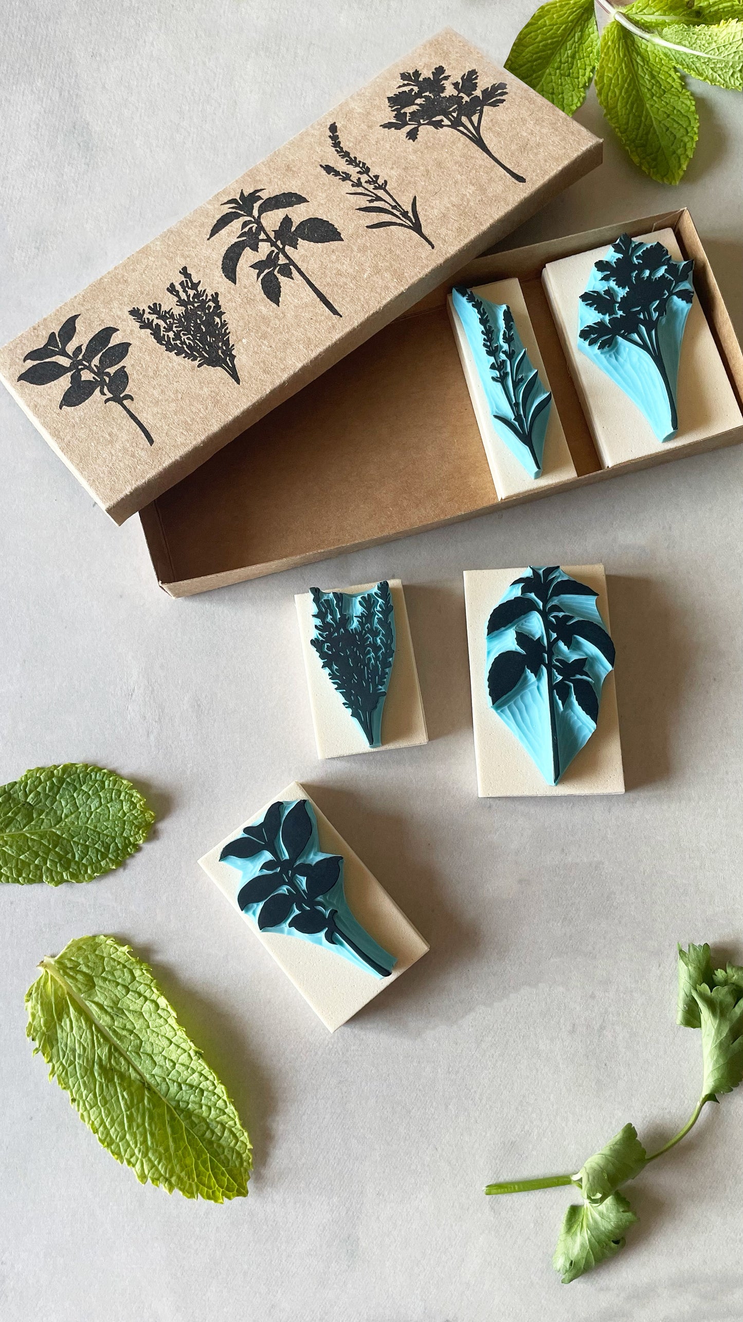 Aromatic Herb Rubber Stamp Set — Hand Carved Silhouette Stamps of Basil, Thyme, Mint, Lavender and Parsley
