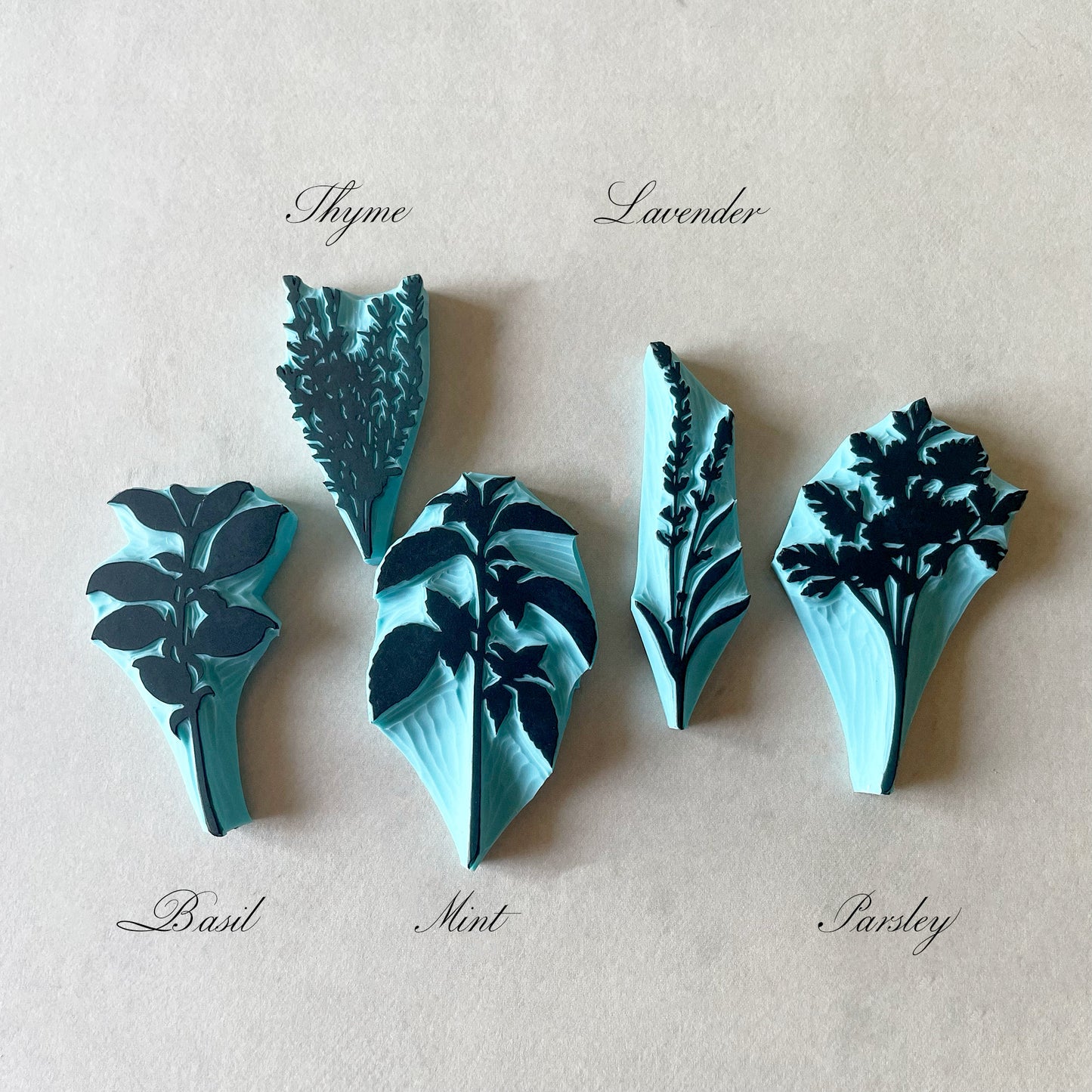 Aromatic Herb Rubber Stamp Set — Hand Carved Silhouette Stamps of Basil, Thyme, Mint, Lavender and Parsley