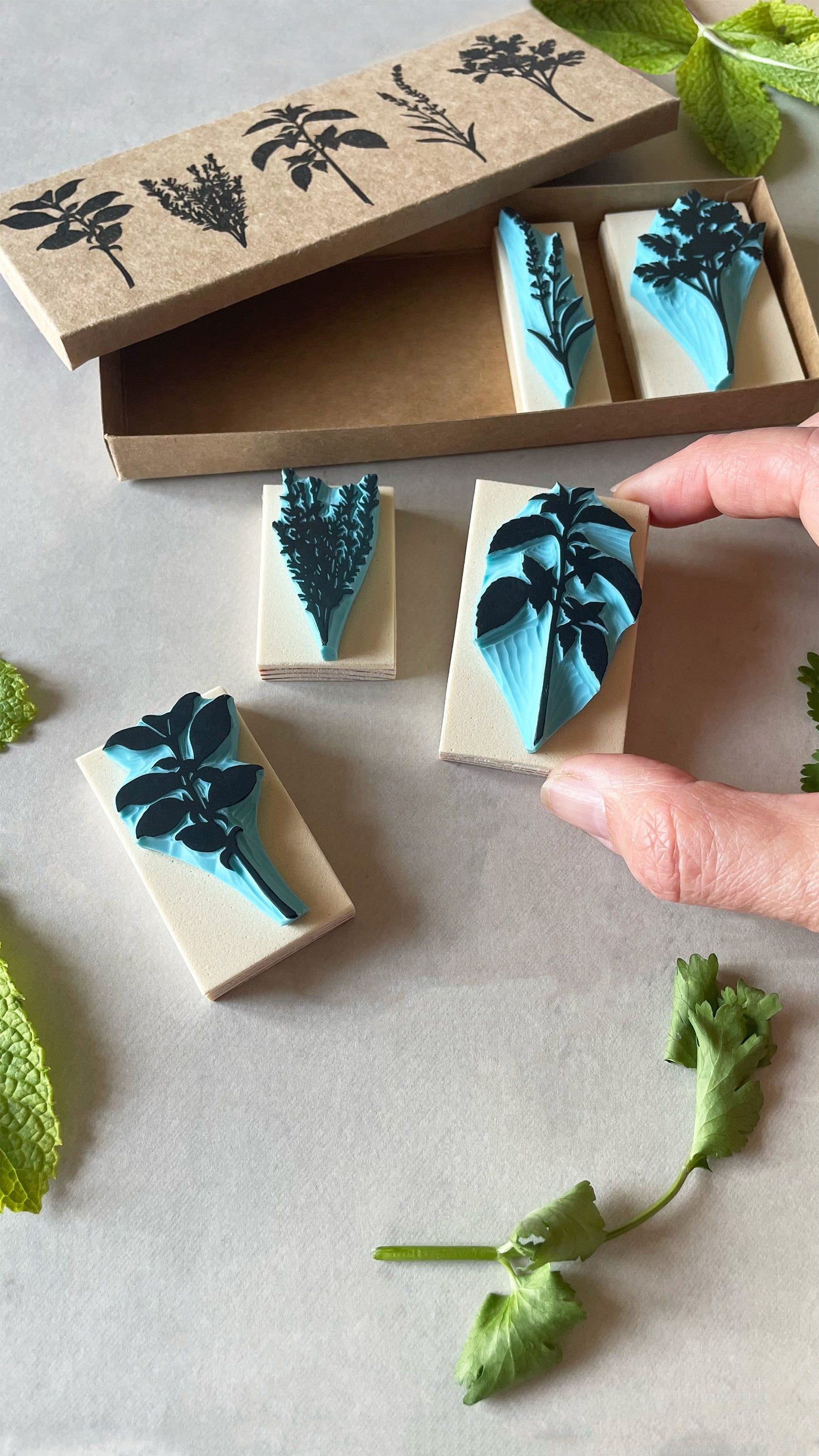 Aromatic Herb Rubber Stamp Set — Hand Carved Silhouette Stamps of Basil, Thyme, Mint, Lavender and Parsley