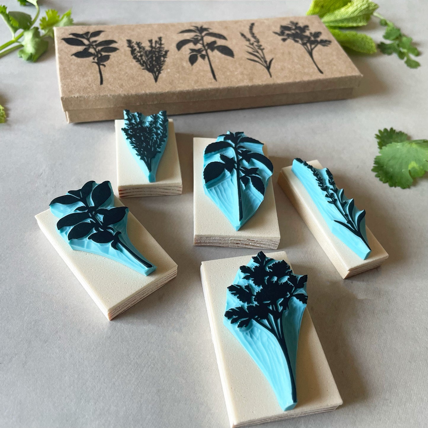 Aromatic Herb Rubber Stamp Set — Hand Carved Silhouette Stamps of Basil, Thyme, Mint, Lavender and Parsley