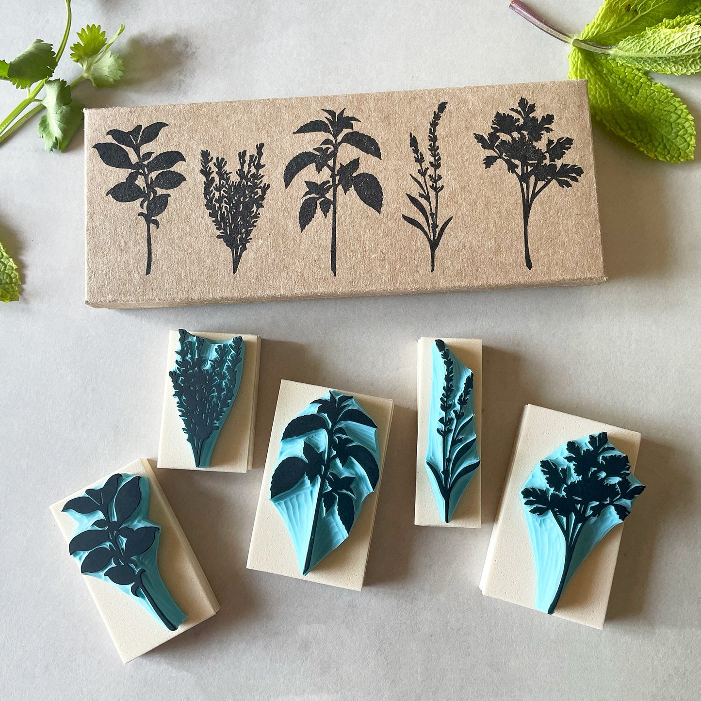 Aromatic Herb Rubber Stamp Set — Hand Carved Silhouette Stamps of Basil, Thyme, Mint, Lavender and Parsley