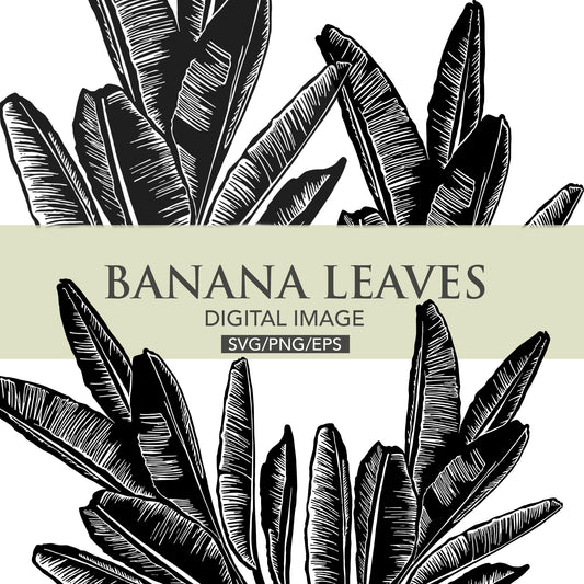 Banana leaves digital files for instant download