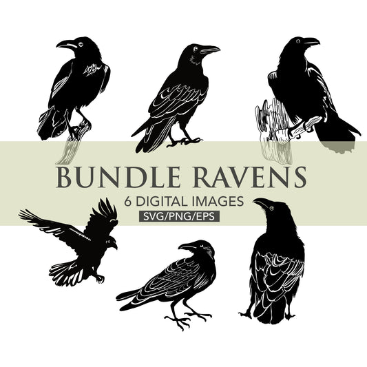 Bundle of 6 digital raven bird images