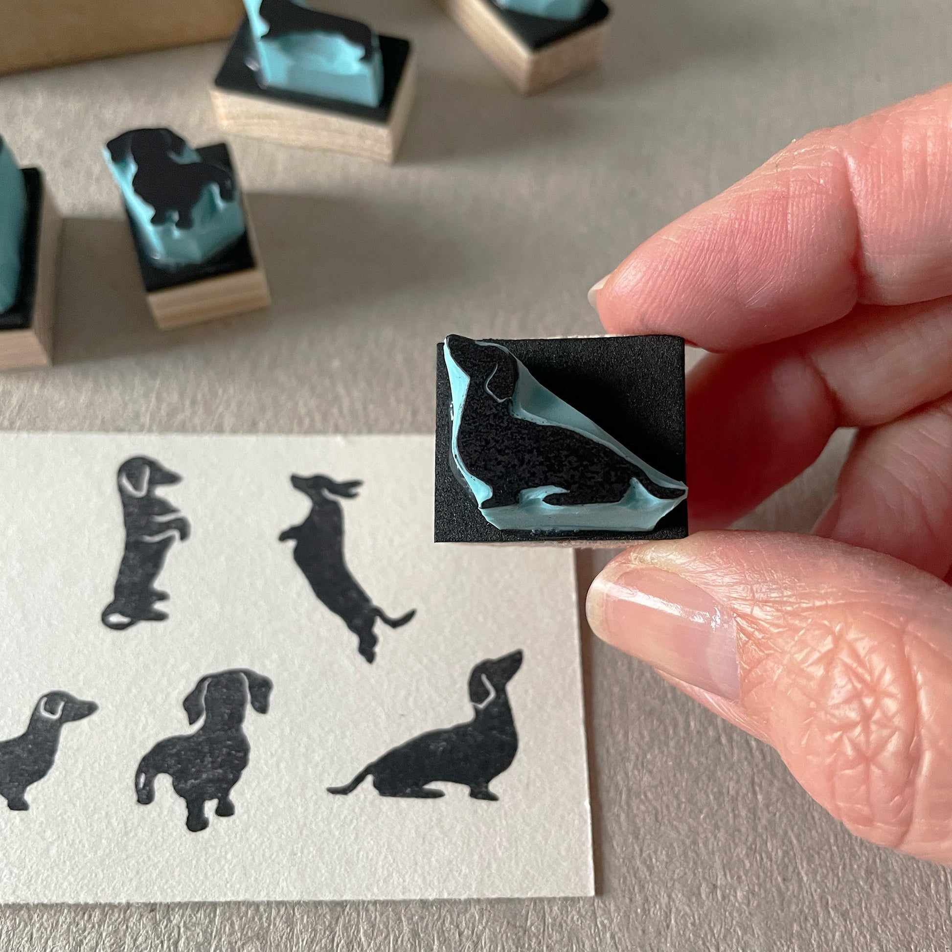 A closer look of the hand holding a mini dachshund stamp from a set of five stamps