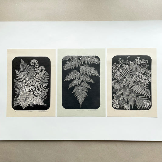 Set of 3 original botanical block prints of ferns