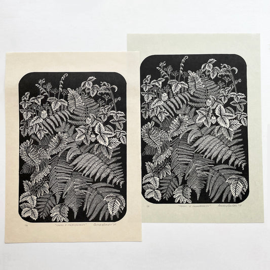 Ferns and strawberries botanical  print