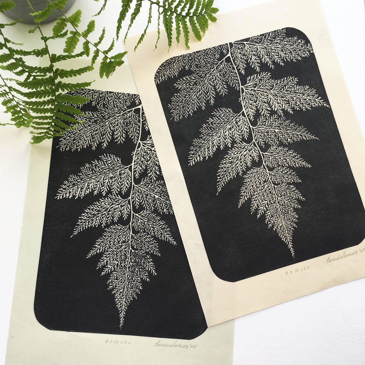 Botanical block print of a fern leaf