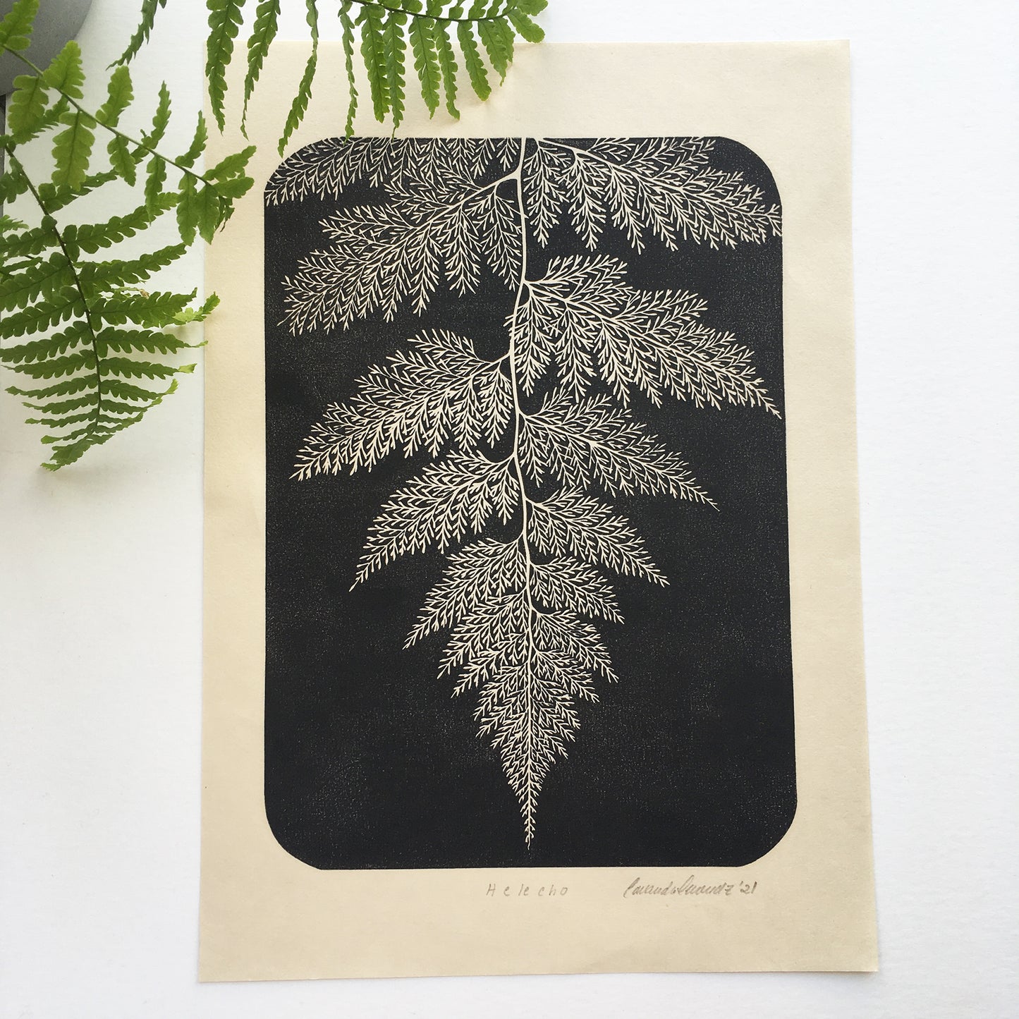 Botanical block print of a fern leaf