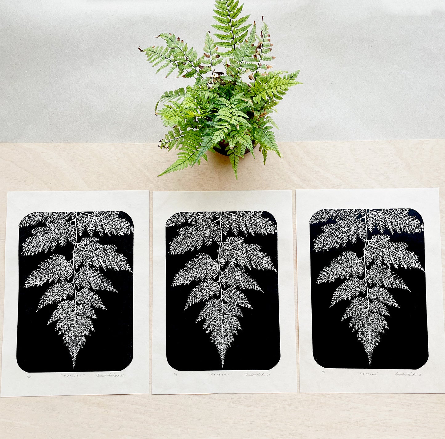 Botanical block print of a fern leaf