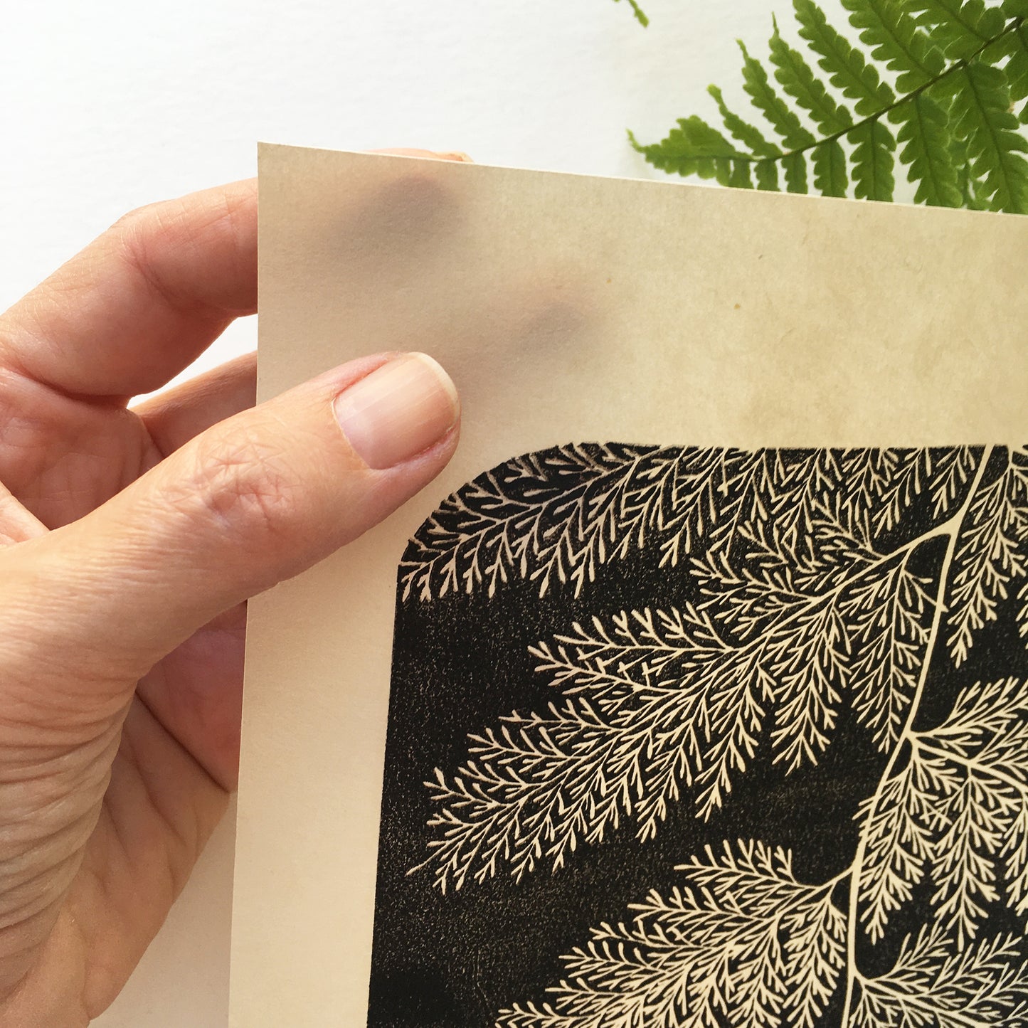 Botanical block print of a fern leaf