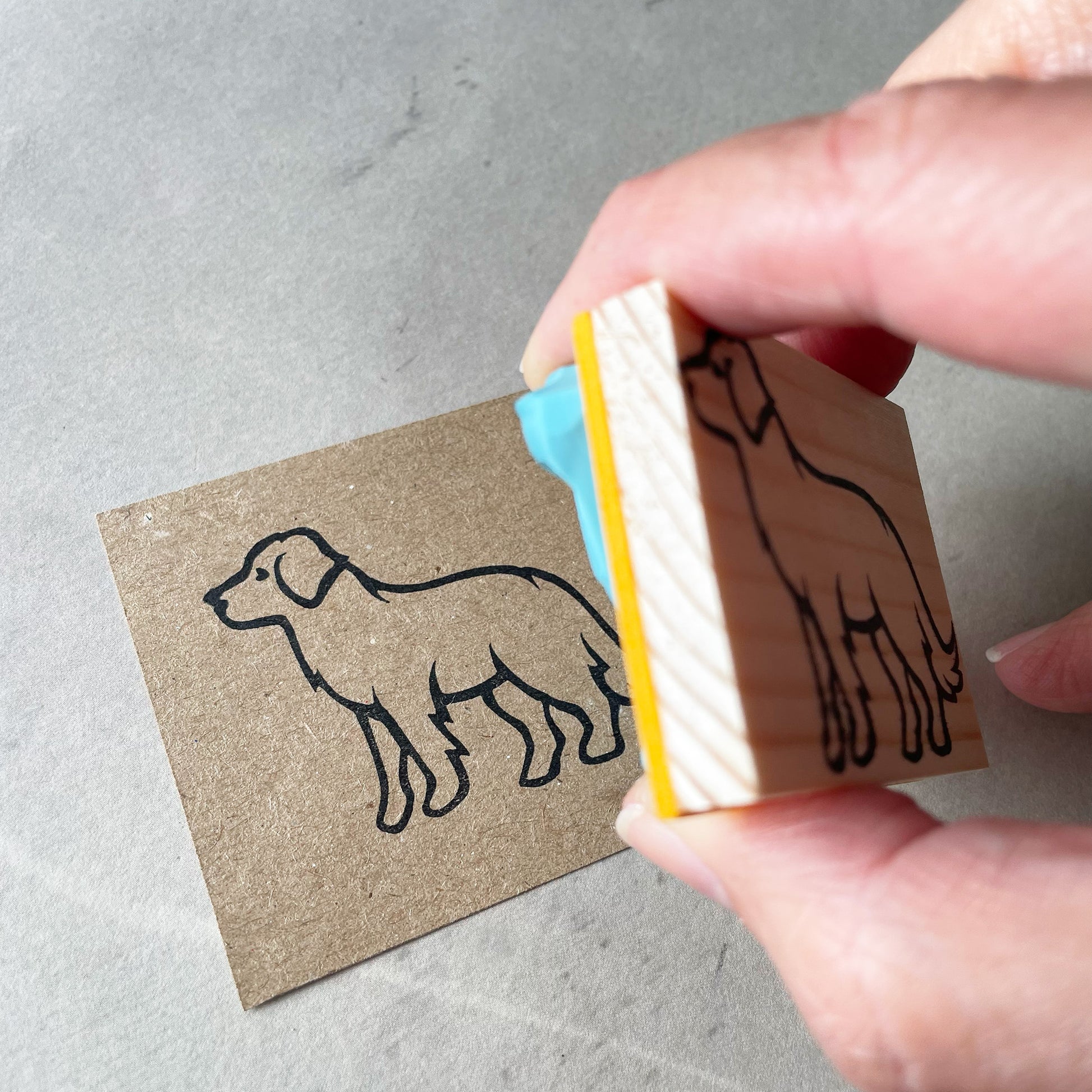 hand holding a rubber stamp stamping the image of a labrador dog 