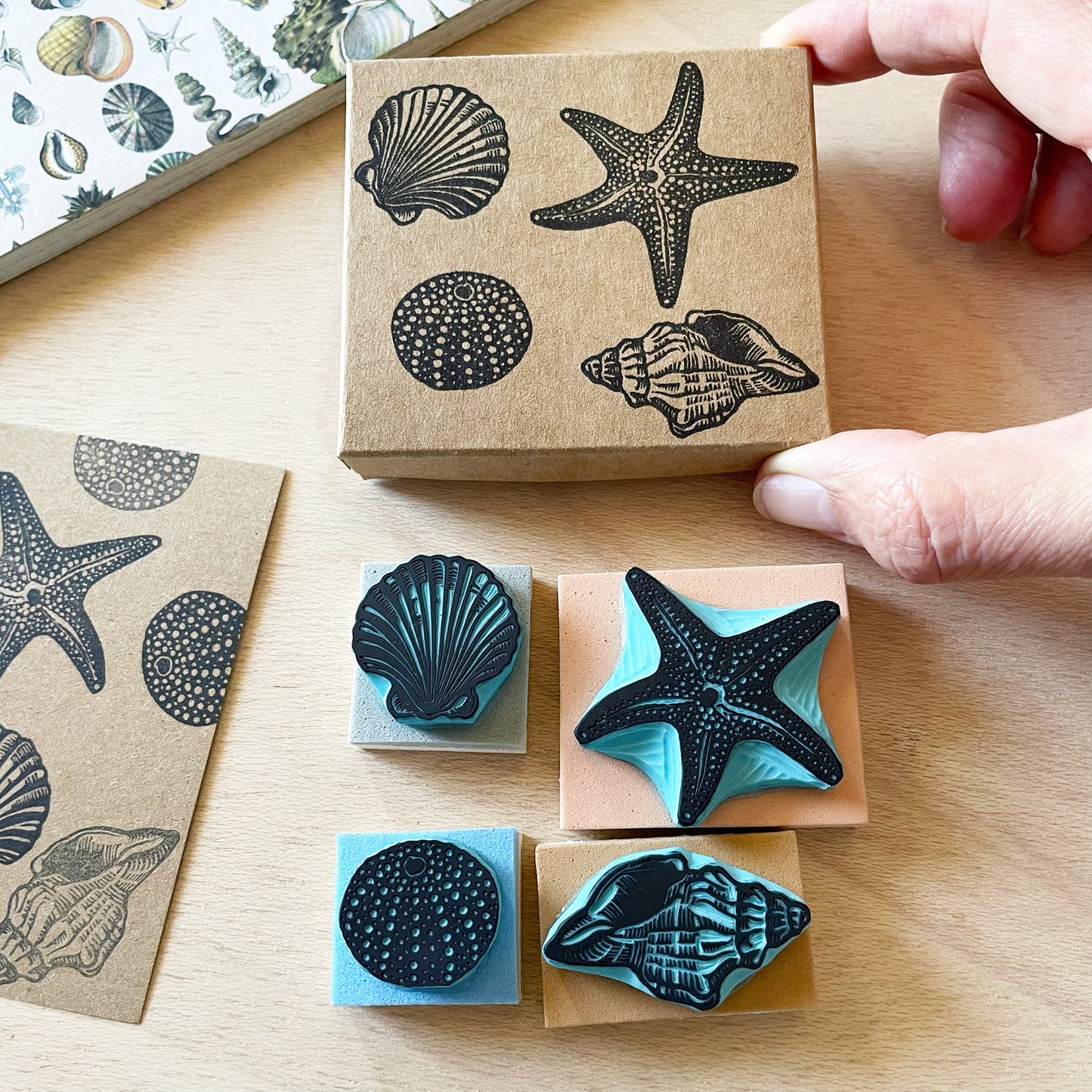 Seashell Rubber Stamp Gift Set — Hand Carved Starfish, Scallop, Sea Urchin & Conch with Wood Bases and Storage Box