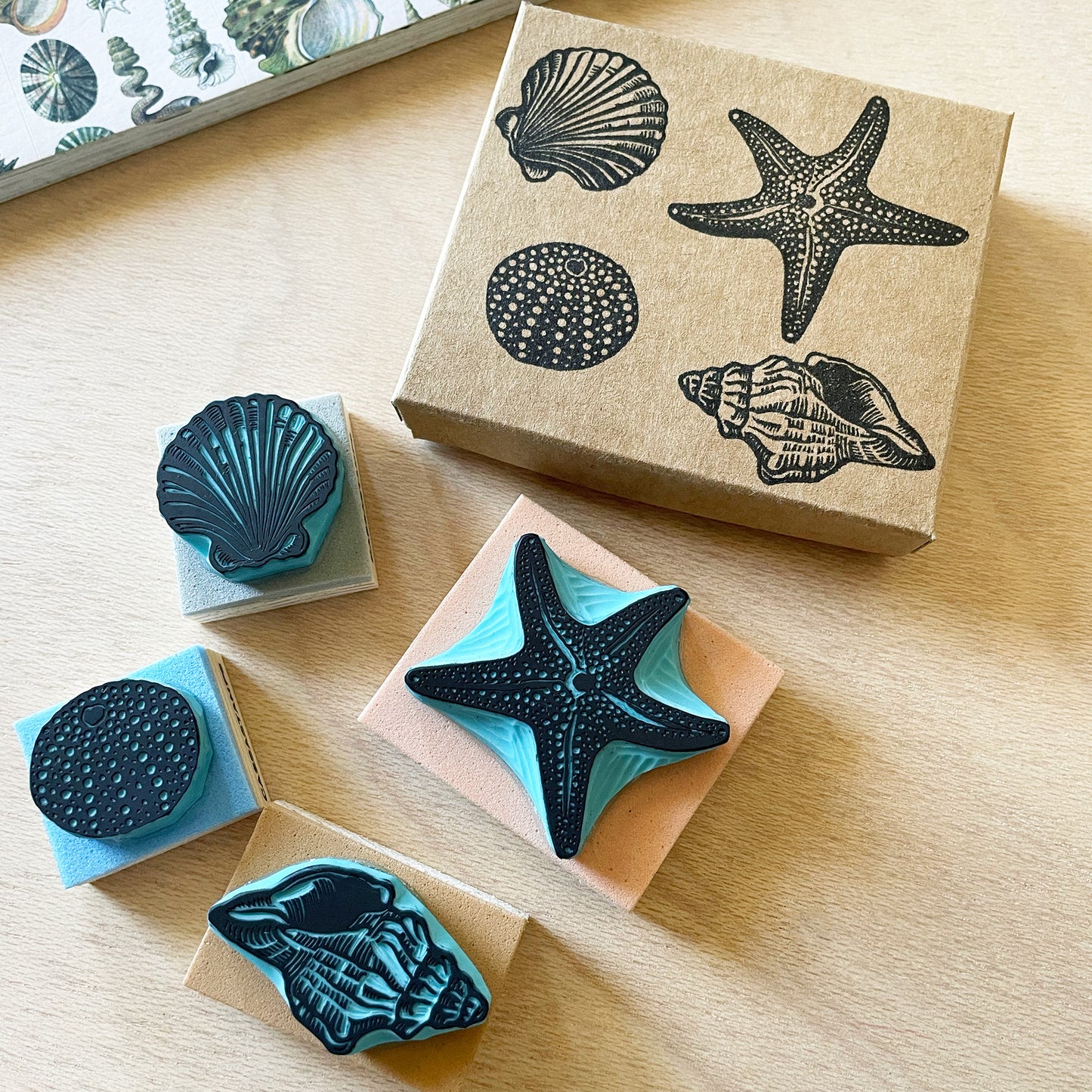 Seashell Rubber Stamp Gift Set — Hand Carved Starfish, Scallop, Sea Urchin & Conch with Wood Bases and Storage Box