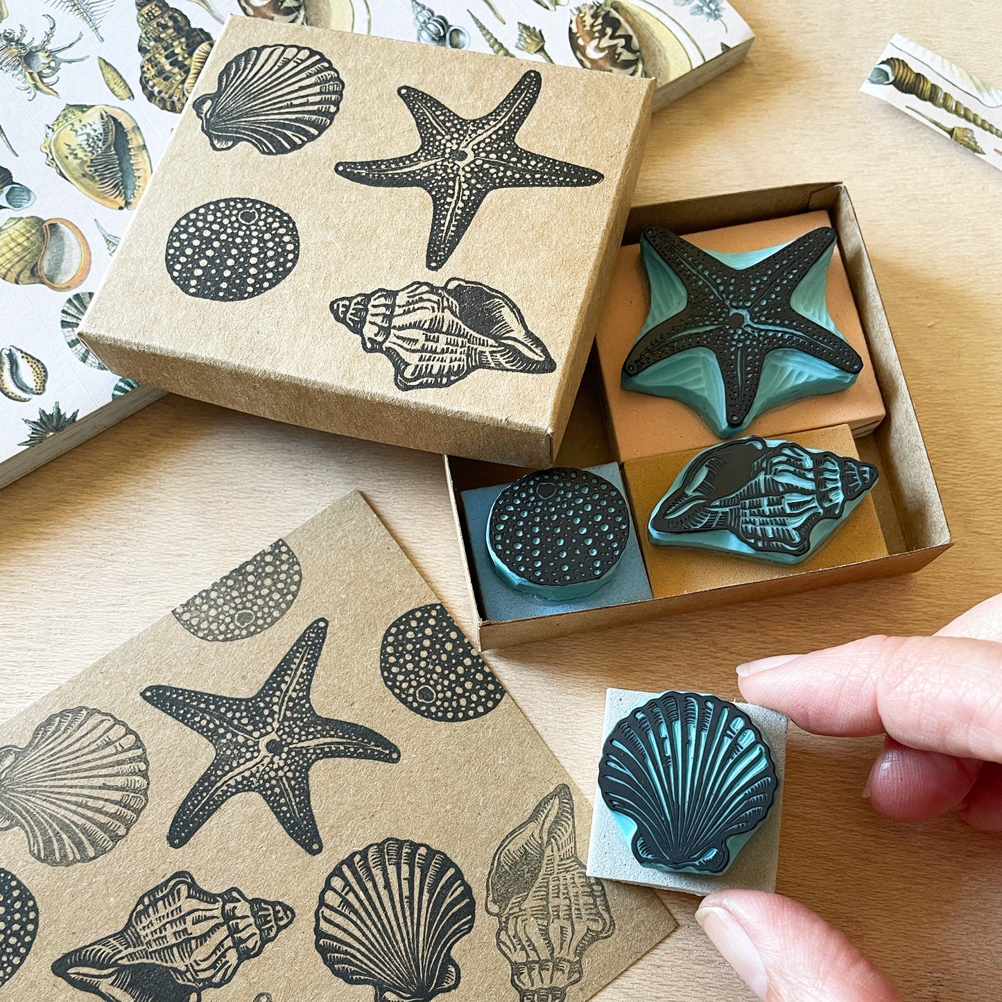 Seashell Rubber Stamp Gift Set — Hand Carved Starfish, Scallop, Sea Urchin & Conch with Wood Bases and Storage Box